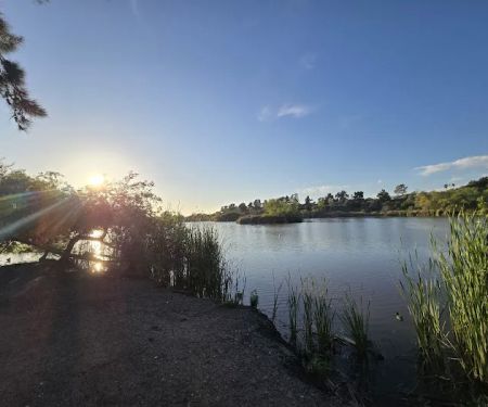 Guajome Regional Park campground