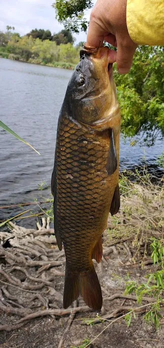 Guajome Regional Park campground Picture 4