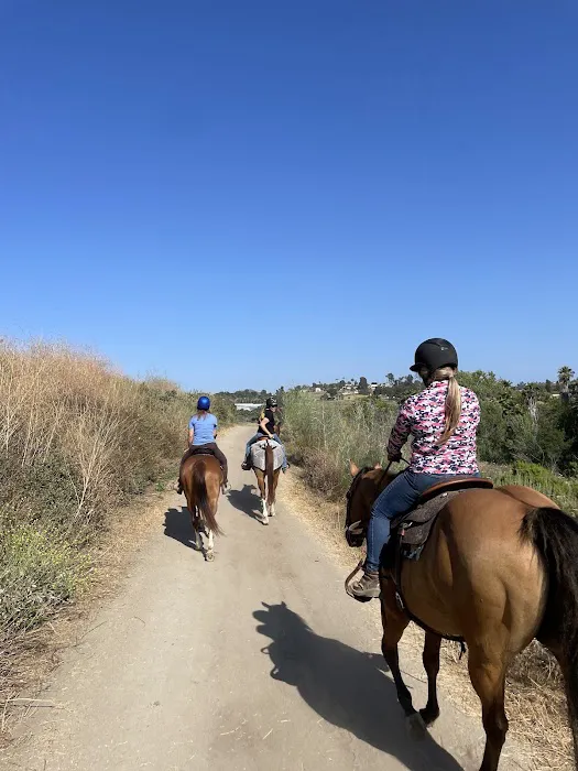 Guajome Regional Park campground Picture 6