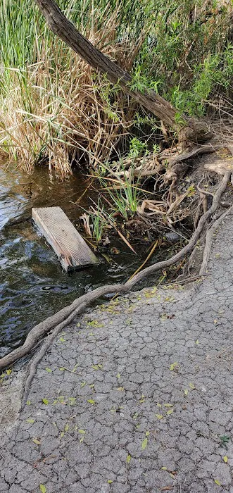 Guajome Regional Park campground Picture 5