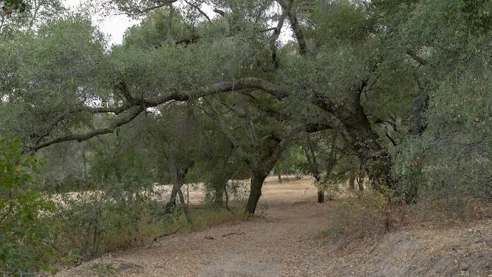 Barrel Springs Campground Picture 7