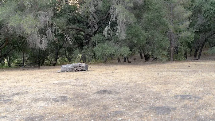 Barrel Springs Campground Picture 6