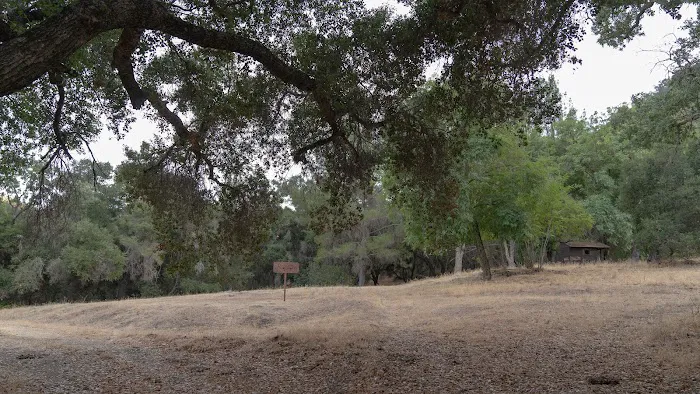 Barrel Springs Campground Picture 3