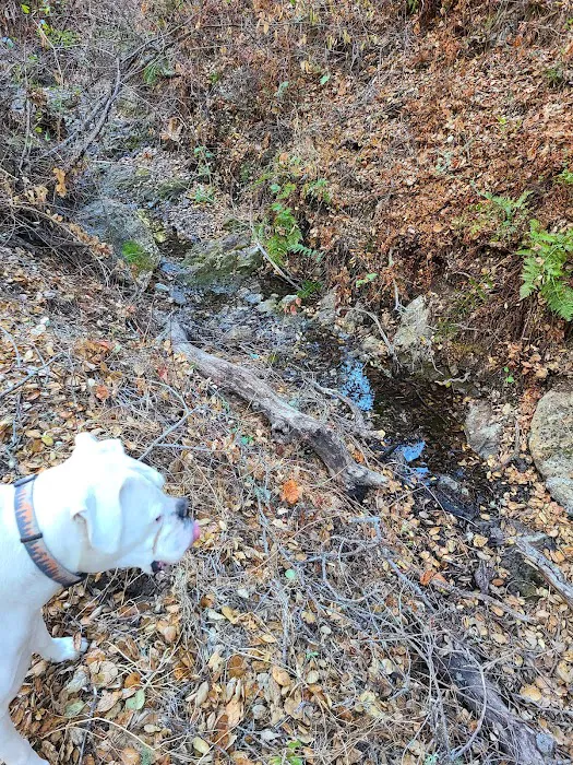 Alejandro Campground Picture 6