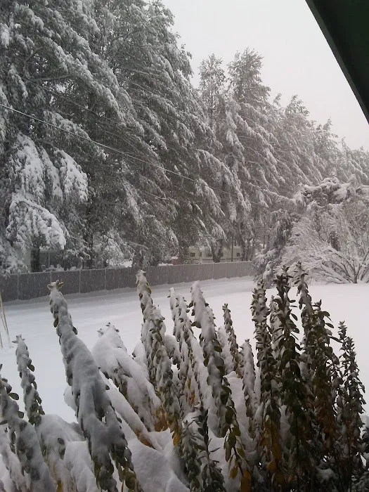 Lake James Landing Picture 10