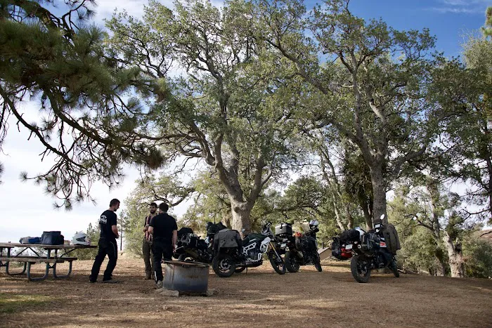 Miranda Pine Campground Picture 2