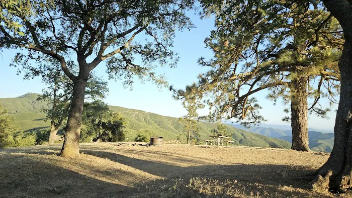 Miranda Pine Campground Picture 4