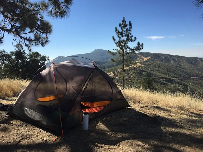 Miranda Pine Campground Picture 7