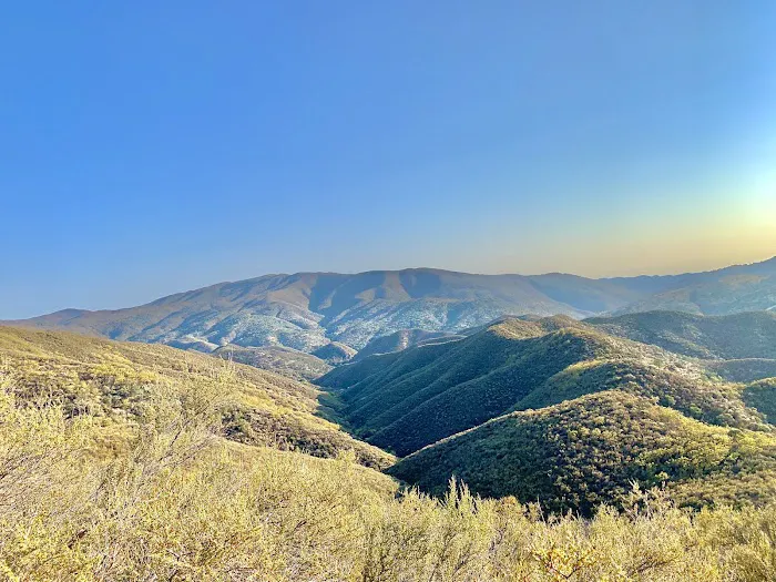 Miranda Pine Campground Picture 10