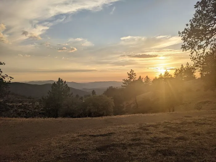 Miranda Pine Campground Picture 1