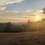 Miranda Pine Campground