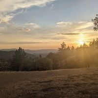 Miranda Pine Campground ico