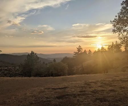 Miranda Pine Campground