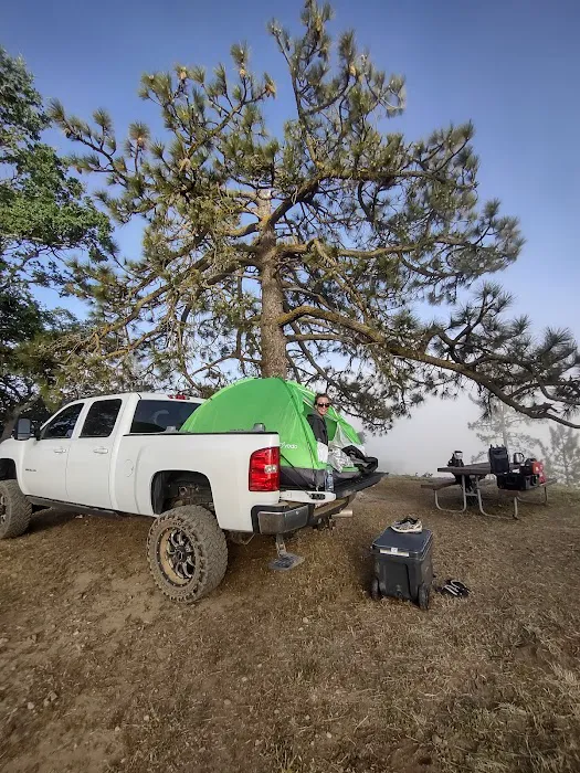 Miranda Pine Campground Picture 6