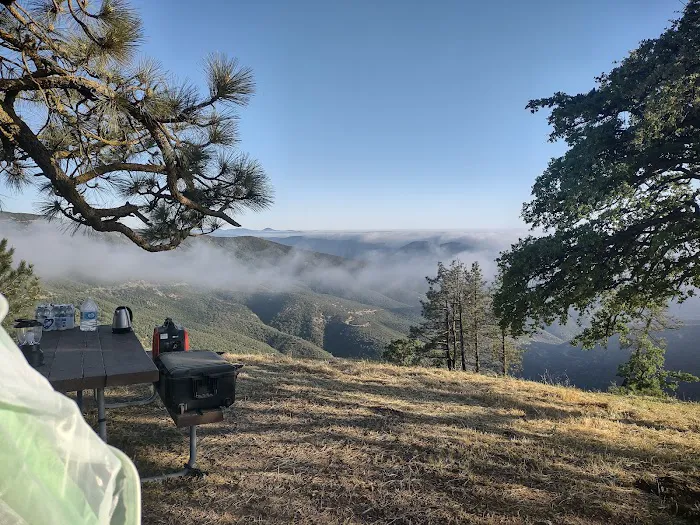 Miranda Pine Campground Picture 5