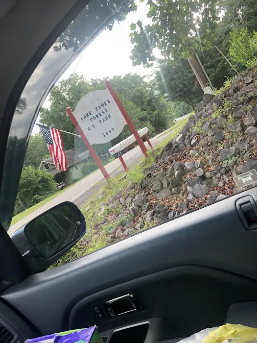 Lake James Forest RV Park Picture 6