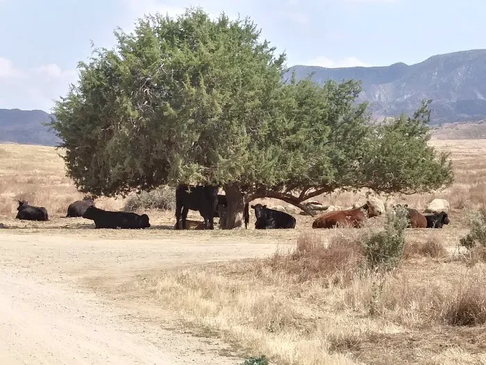 KCL Campground Turnoff Picture 4