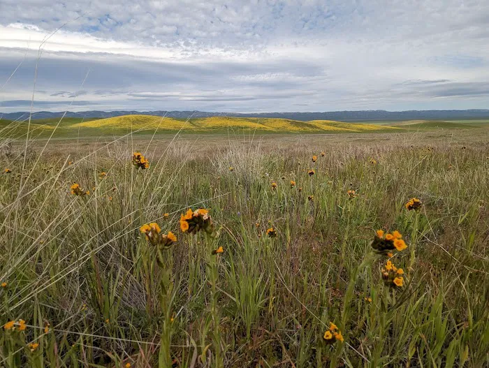 Selby Campground Picture 4