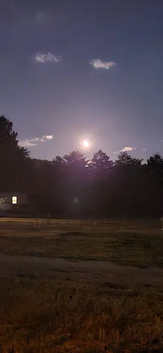 Mountain View RV Park Picture 4