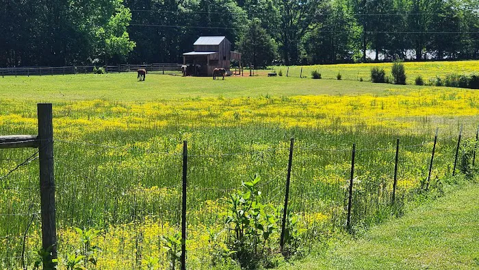 Cherokee RV Park Picture 6