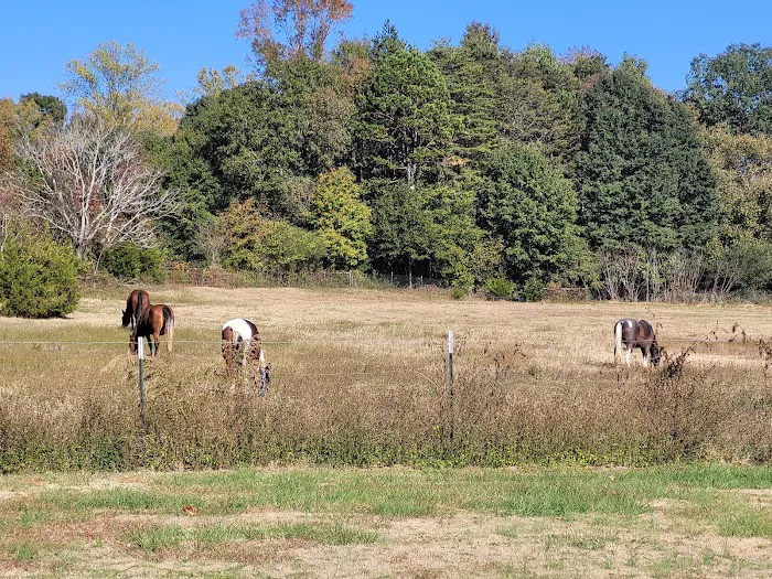 Cherokee RV Park Picture 9
