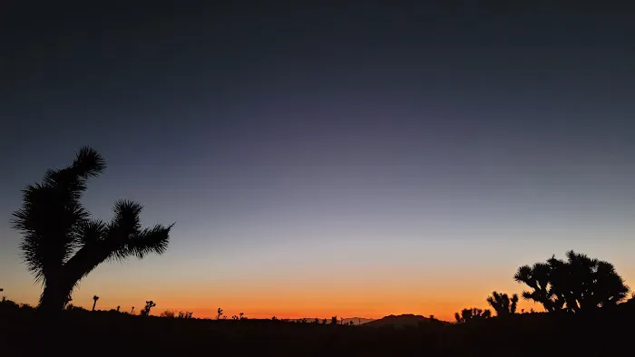 Desert Yacht Club Picture 1