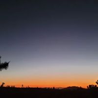 Desert Yacht Club ico