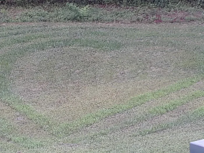 Candyland Mobile Home Park Picture 1