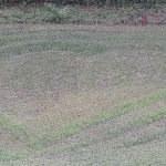 Candyland Mobile Home Park