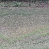 Candyland Mobile Home Park ico