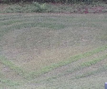 Candyland Mobile Home Park