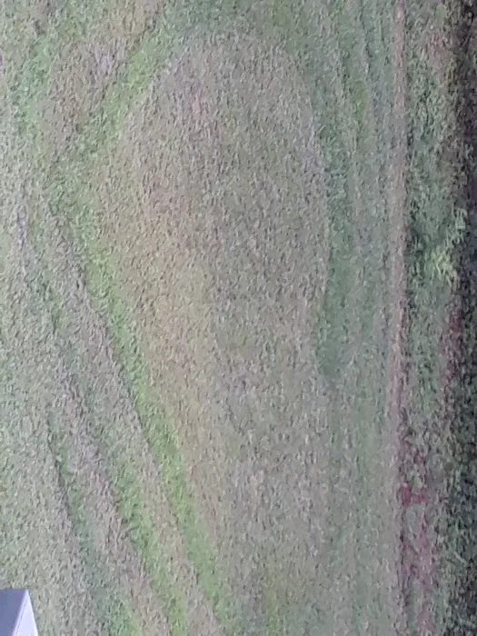 Candyland Mobile Home Park Picture 8