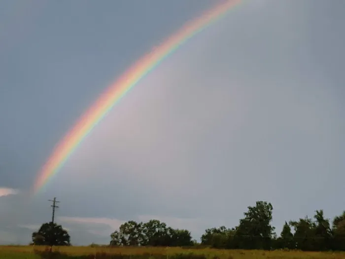 Candyland Mobile Home Park Picture 7