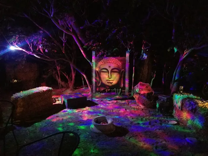 Desert Rose Collective Camping Picture 6