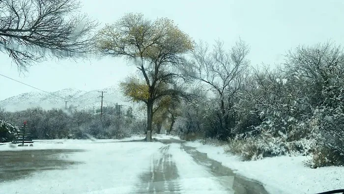 Desert Rose Collective Camping Picture 8