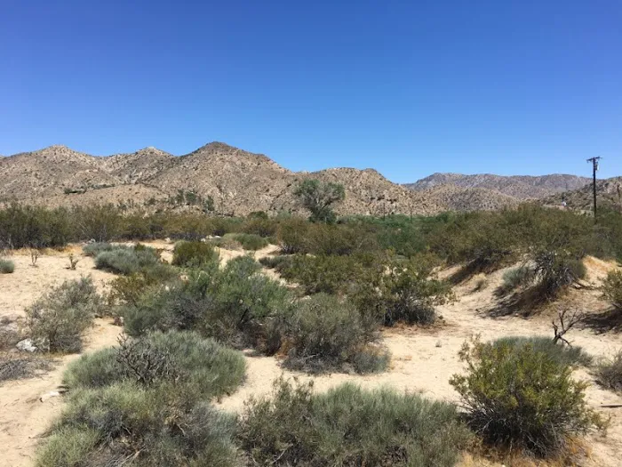 Desert Rose Collective Camping Picture 2