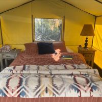 Desert Rose Collective Camping ico