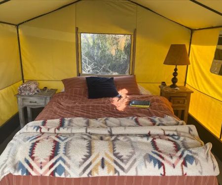 Desert Rose Collective Camping