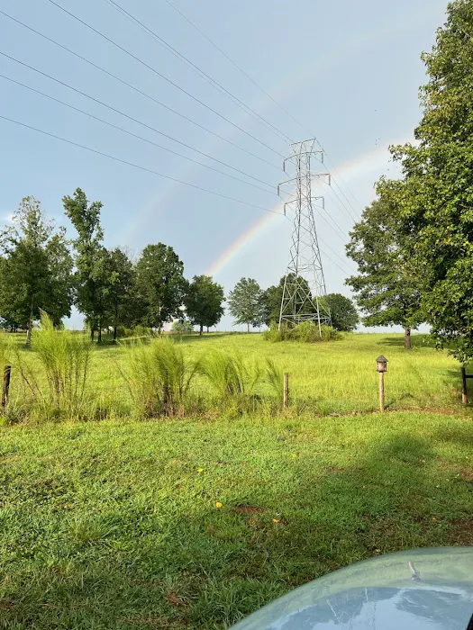 Orchard Park RV Campground Picture 2