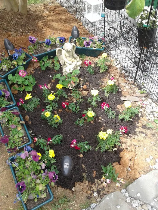 Rutherfordton RV Park Picture 7