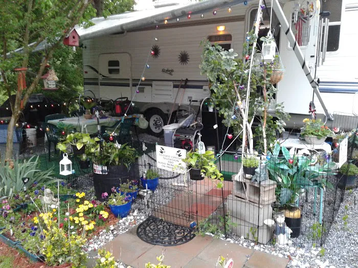 Rutherfordton RV Park Picture 6