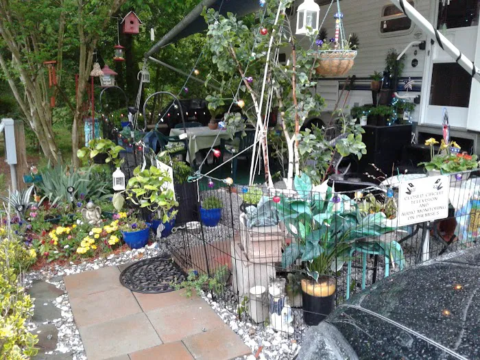 Rutherfordton RV Park Picture 3