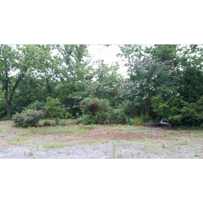 Rutherfordton RV Park Picture 10