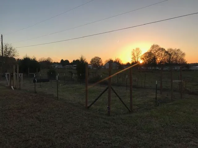 Cowpens Battlefield RV Park (Behind Dollar General) Picture 2