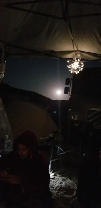 Coyote Sunset in Joshua Tree Picture 1