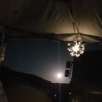 Coyote Sunset in Joshua Tree ico