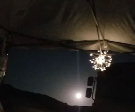 Coyote Sunset in Joshua Tree