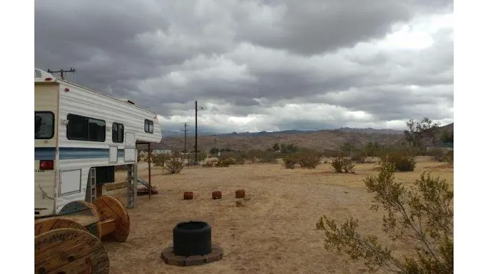 Coyote Sunset in Joshua Tree Picture 5