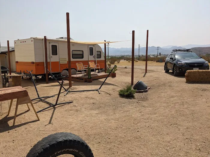 Coyote Sunset in Joshua Tree Picture 3