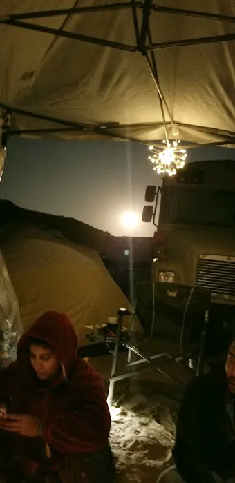 Coyote Sunset in Joshua Tree Picture 2